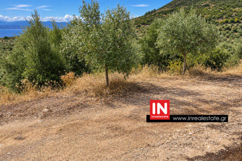 avia-mantineia-for-sale-inrealestate (3)