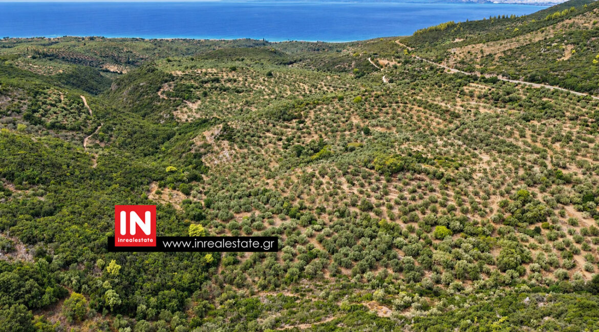 avia-mantineia-for-sale-inrealestate (4)