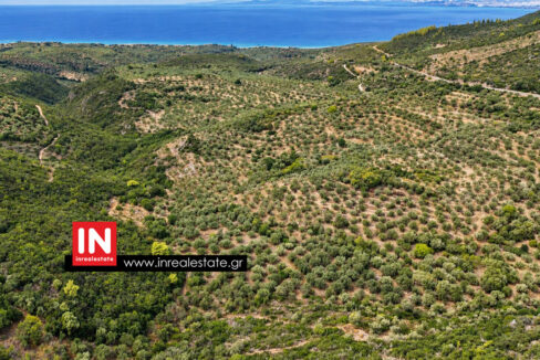 avia-mantineia-for-sale-inrealestate (4)