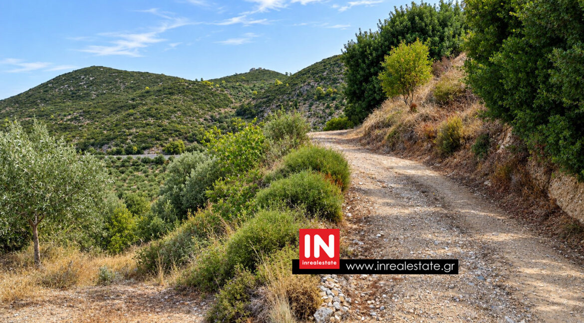 avia-mantineia-for-sale-inrealestate (6)