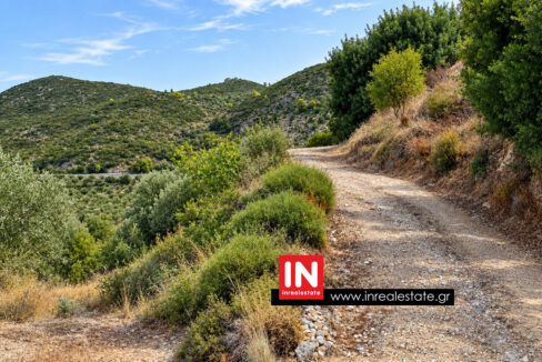avia-mantineia-for-sale-inrealestate (6)