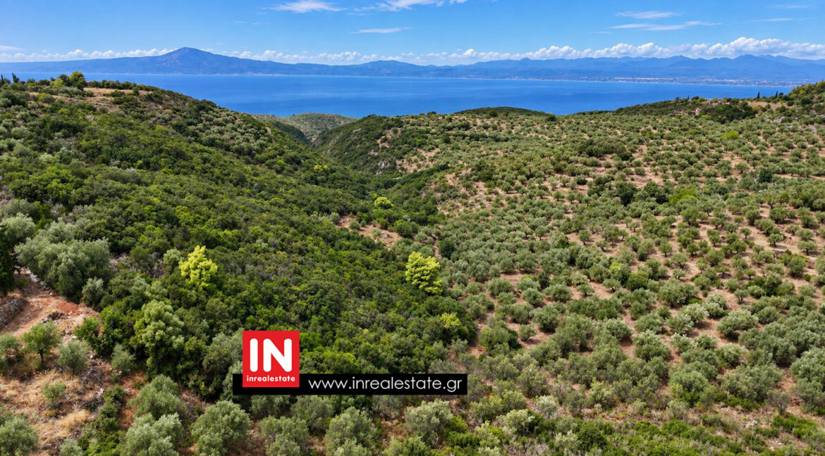 avia-mantineia-for-sale-inrealestate (7)