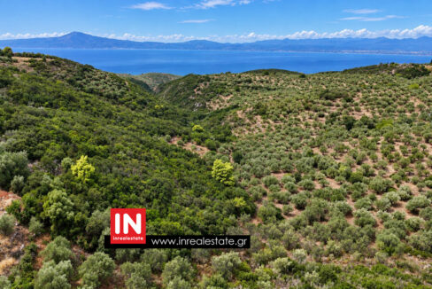 avia-mantineia-for-sale-inrealestate (7)