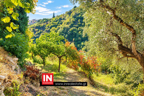 for-sale-kalamata-perivolakia-property – investment- opportunity (11)