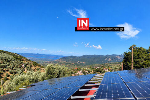 for-sale-kalamata-perivolakia-property – investment- opportunity (6)